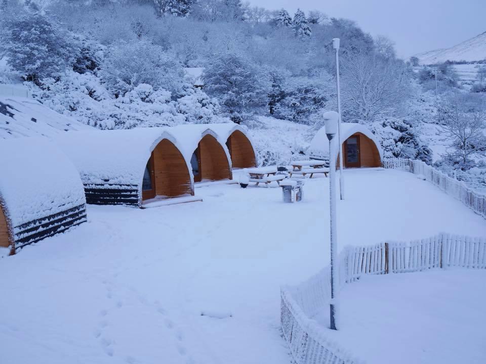 מלון רוסטרבור East Coast Adventure Centre Glamping מראה חיצוני תמונה