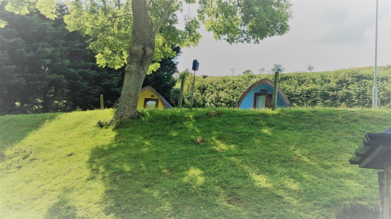 מלון רוסטרבור East Coast Adventure Centre Glamping מראה חיצוני תמונה